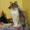 Отзыв от Валентина Кравцова